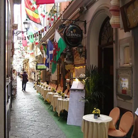 Sorrento Inn Guesthouse סורנטו